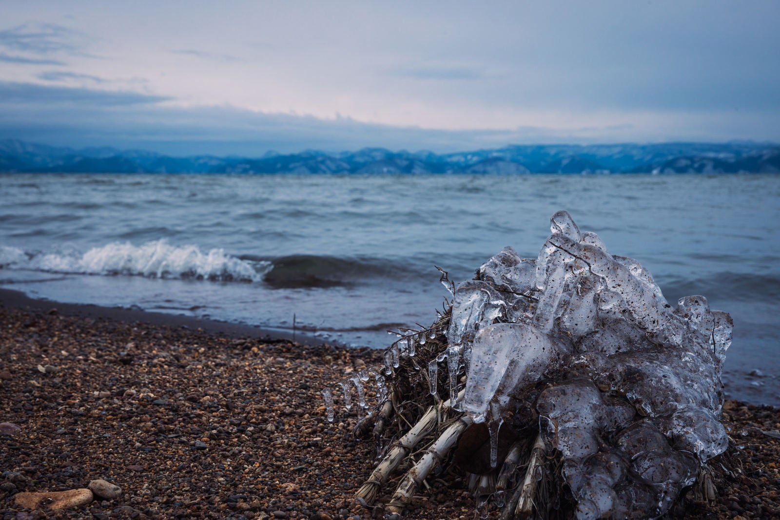 「湖岸に打ち上げられた木屑と氷」の写真