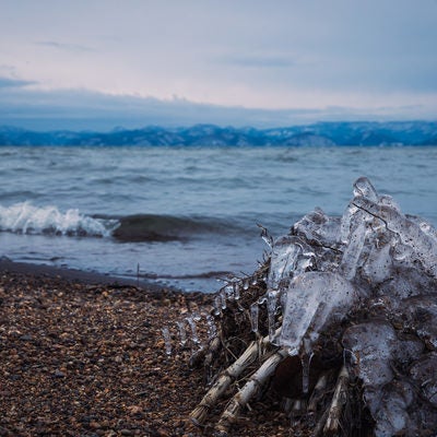 湖岸に打ち上げられた木屑と氷の写真