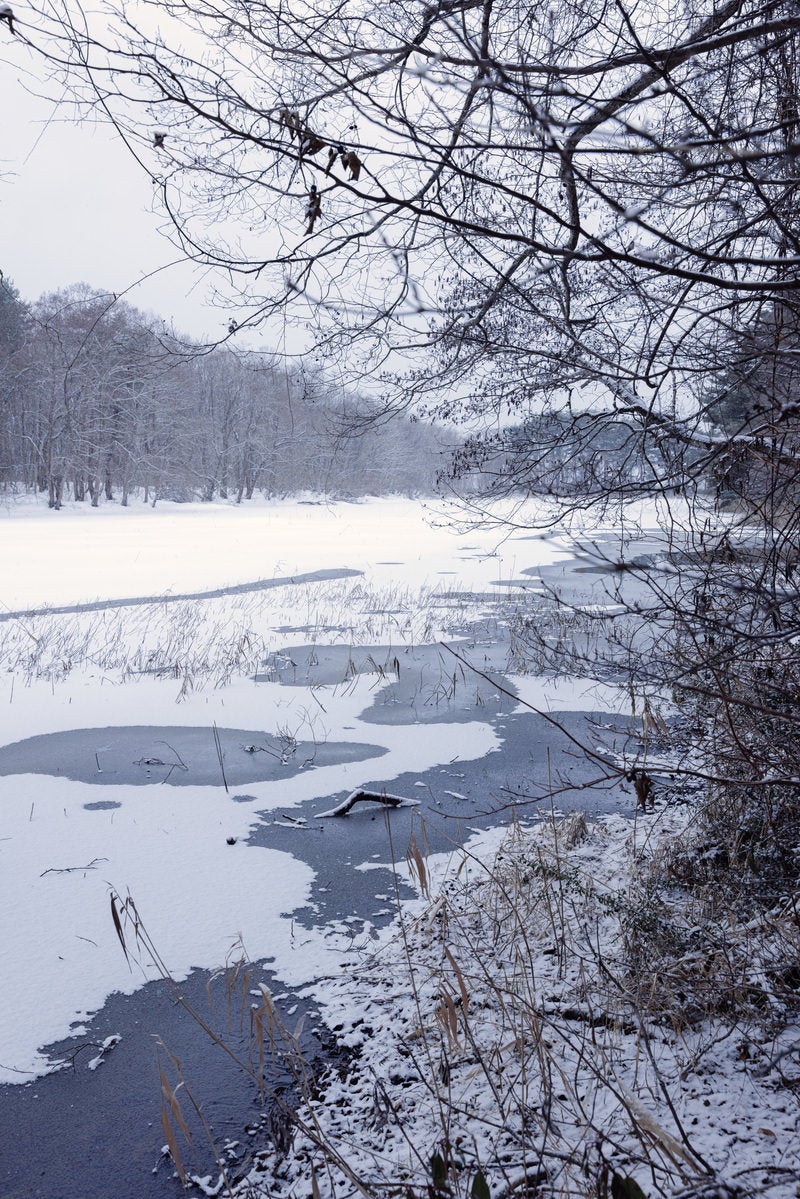 「積雪時の長瀬川」の写真