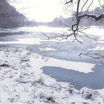 積雪の猪苗代湖しぶき氷横の入江の写真