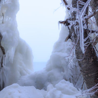 猪苗代湖の透明度の高い飛沫氷の写真