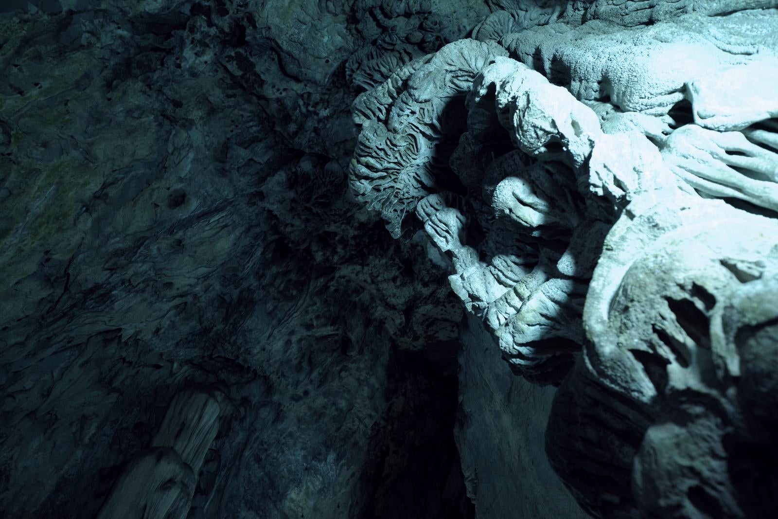 「備中鐘乳穴にある日本一の22階層鍾乳石「五重塔」を下から撮影」の写真