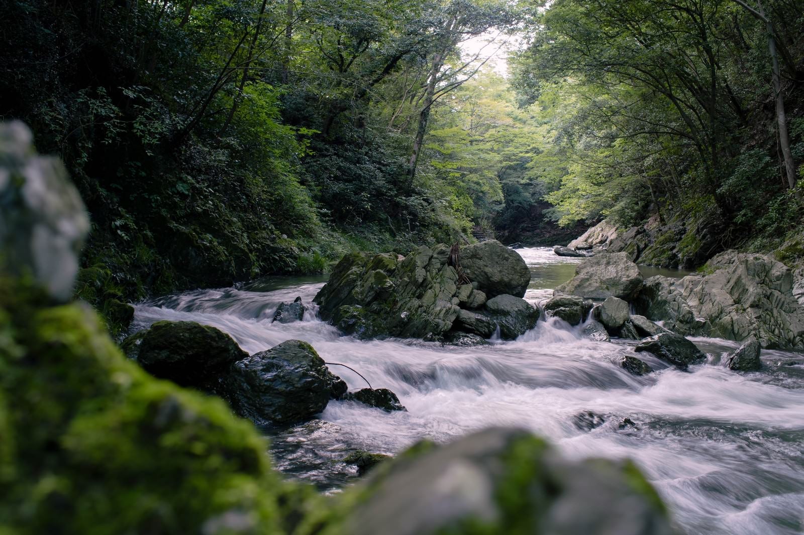 「御荷鉾緑色岩が美しい渓谷」の写真