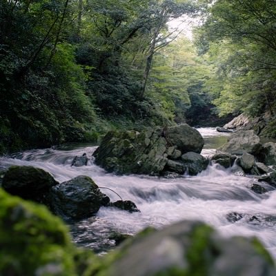 御荷鉾緑色岩が美しい渓谷の写真
