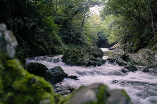 御荷鉾緑色岩が美しい渓谷の写真