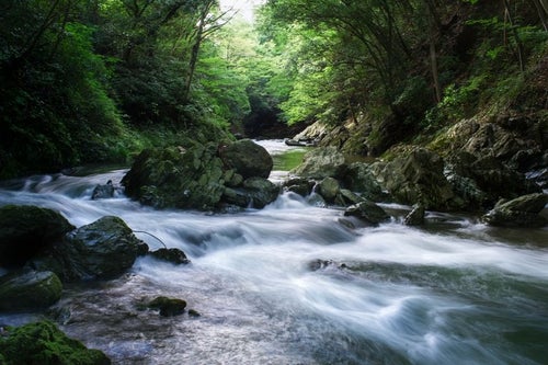 埼玉県の三波渓谷の写真