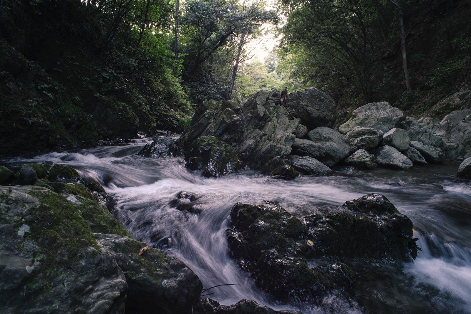 「川の水と岩の荒々しさ（三波渓谷の夏）」の写真