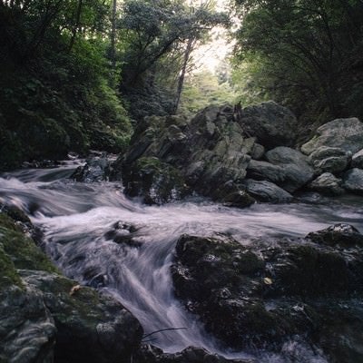 川の水と岩の荒々しさ（三波渓谷の夏）の写真