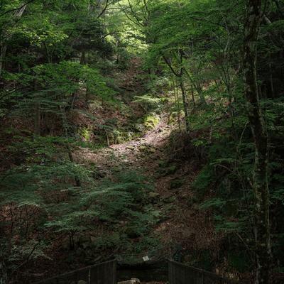 落石注意の看板と行司ヶ滝遊歩道の写真