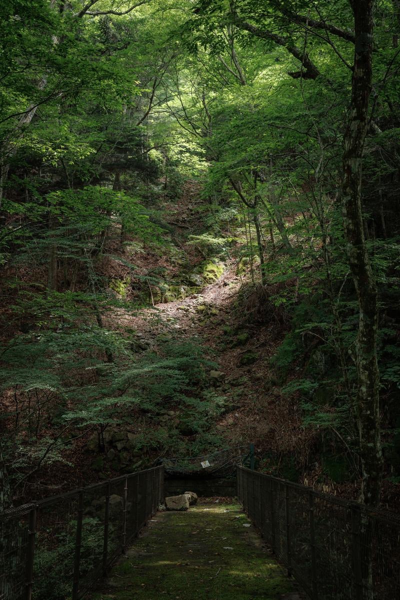 「落石注意の看板と行司ヶ滝遊歩道」の写真