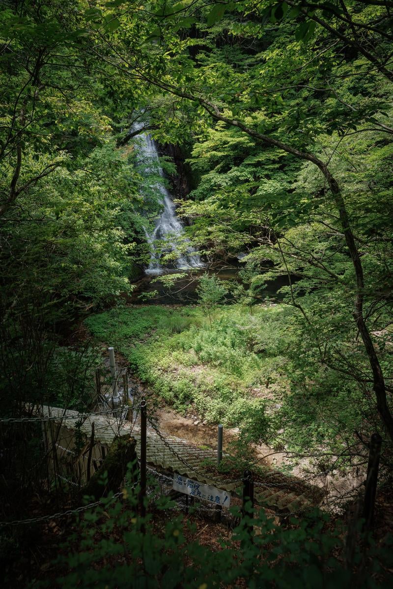 「行司ヶ滝の流れと木々の間の眺め」の写真
