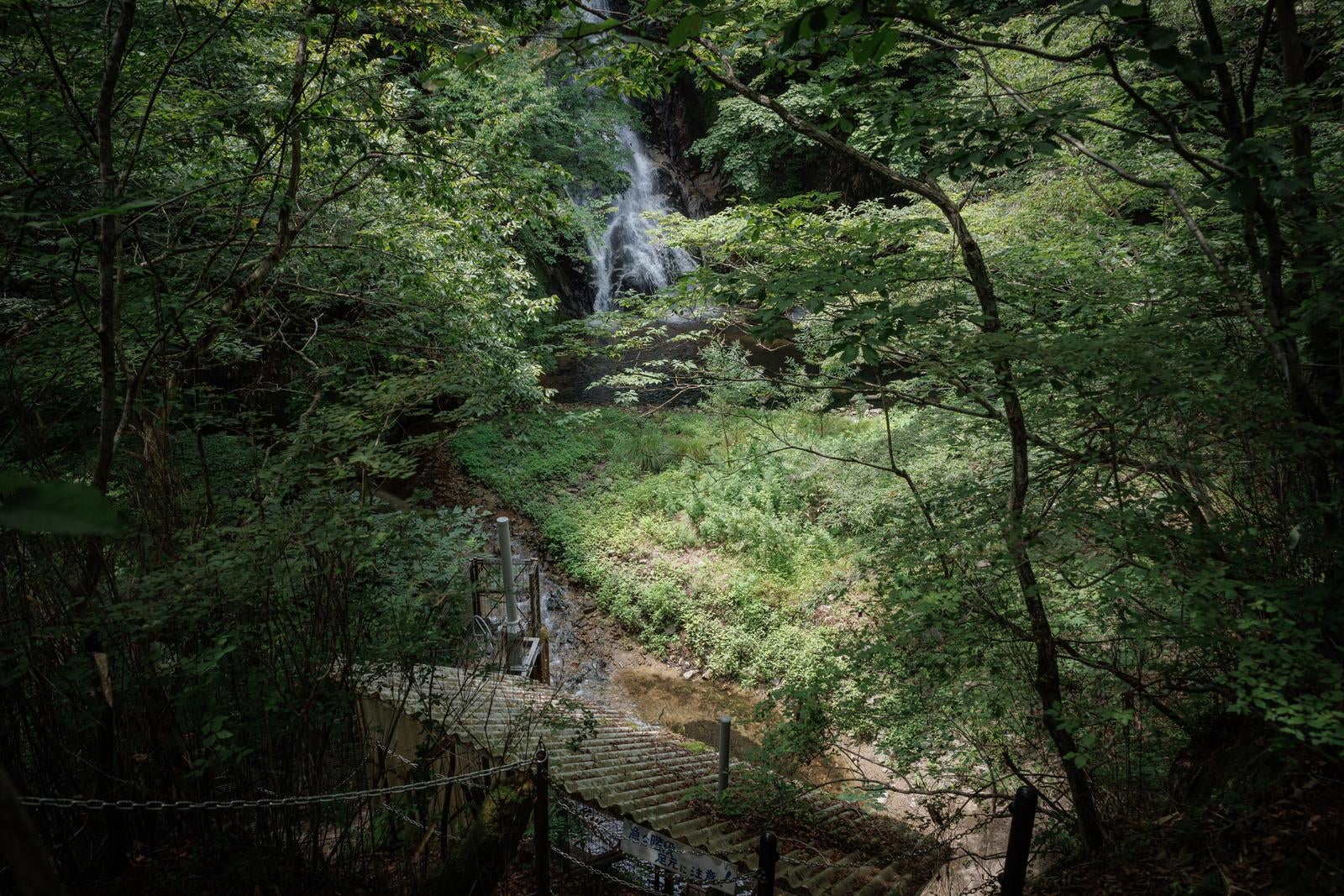 「木々の隙間から見る滝の流れと行司ヶ滝」の写真