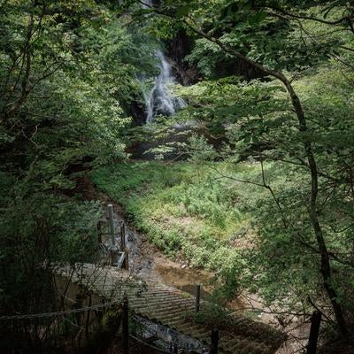 木々の隙間から見る滝の流れと行司ヶ滝の写真