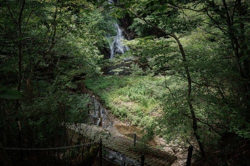 木々の隙間から見る滝の流れと行司ヶ滝