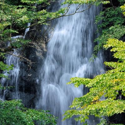 行司ヶ滝の壮大な落下、勢い良く流れ落ちる迫力の写真