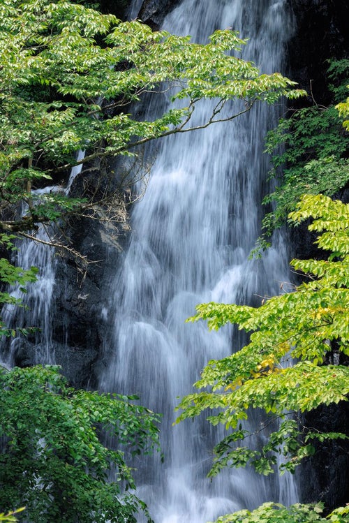 行司ヶ滝の壮大な落下、勢い良く流れ落ちる迫力の写真