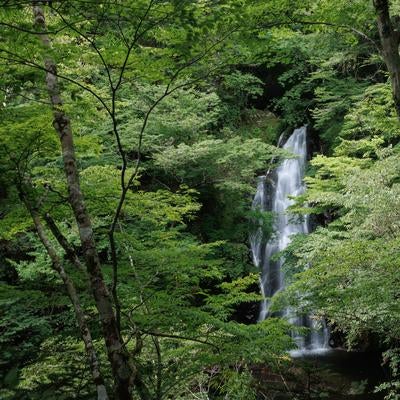 行司ヶ滝の詩と自然の写真