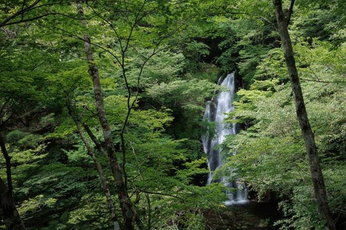 行司ヶ滝の詩と自然の写真