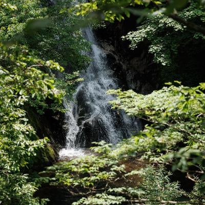 行司ヶ滝と緑の写真