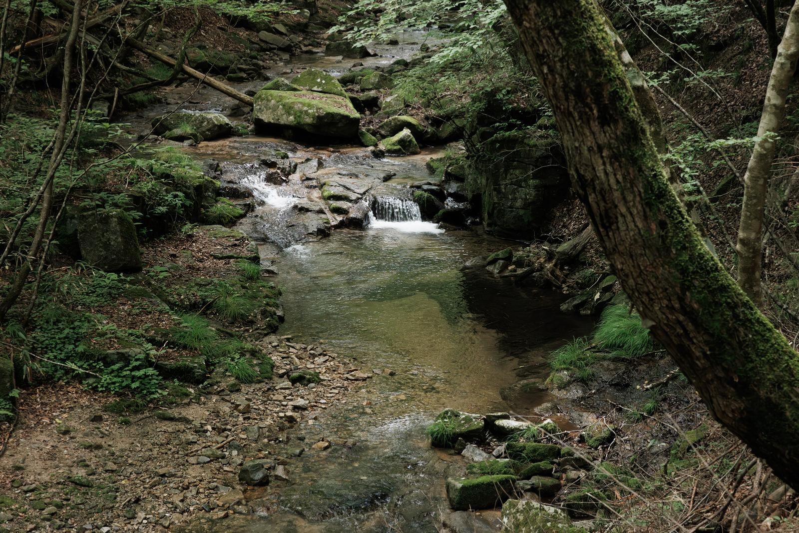 「緑豊かな行司ヶ滝の山道に流れる川」の写真
