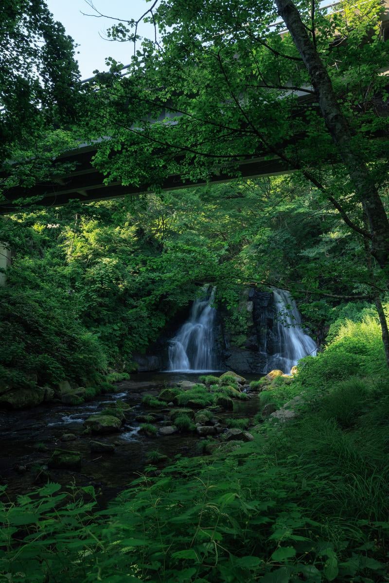「自然に包まれた天栄村の明神滝」の写真