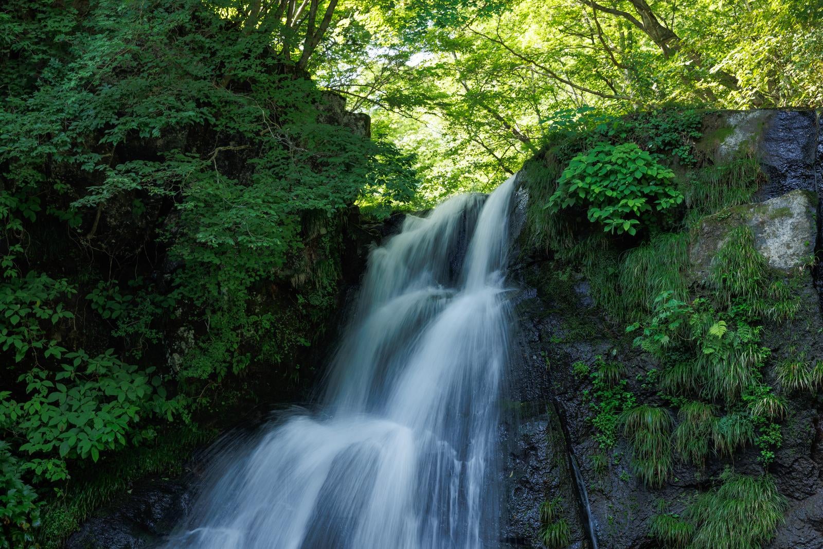 天栄村の明神滝。苔むした岩壁に囲まれ、白く流れ落ちる二段の滝