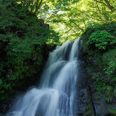 天栄村の明神滝、苔生す岩壁に流れ落ちる滝の写真