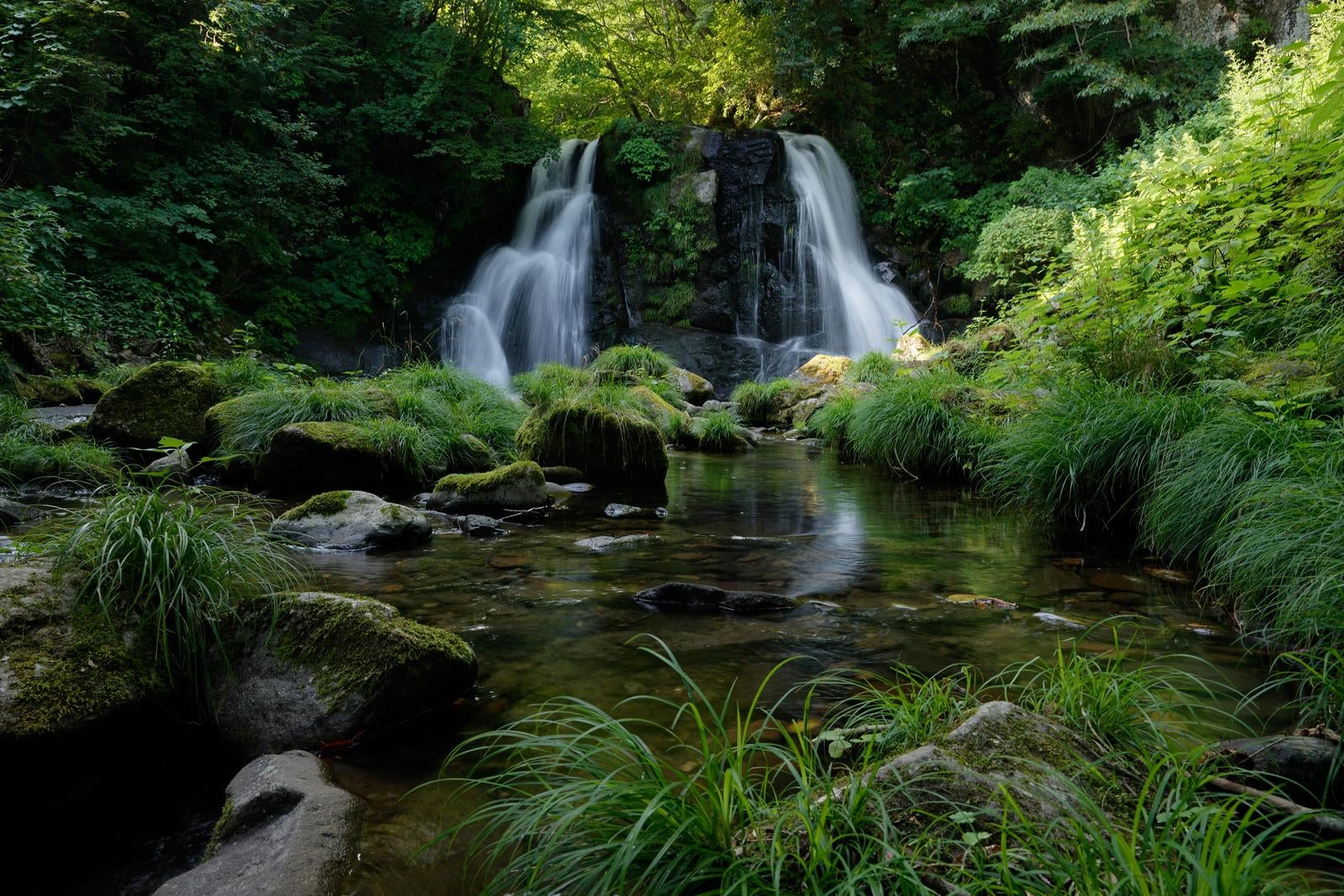 「明神滝と自然」の写真