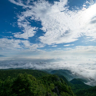 にゅうから眺めた雲海と白駒の森の写真