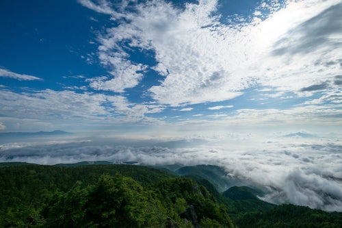 にゅうから眺めた雲海と白駒の森の写真