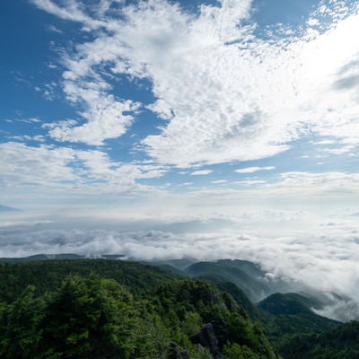 にゅうから望む白駒の森と雲海の写真