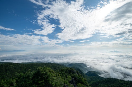 にゅうから望む白駒の森と雲海の写真