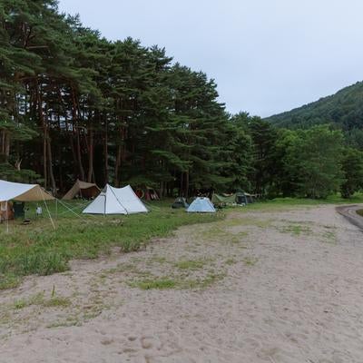 秋山浜の浜辺沿いにテントを張れるキャンプ場の写真