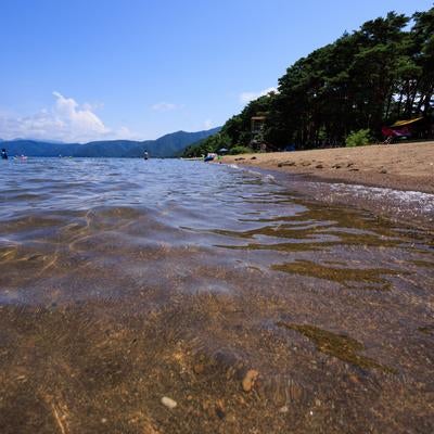 館浜の水辺の写真