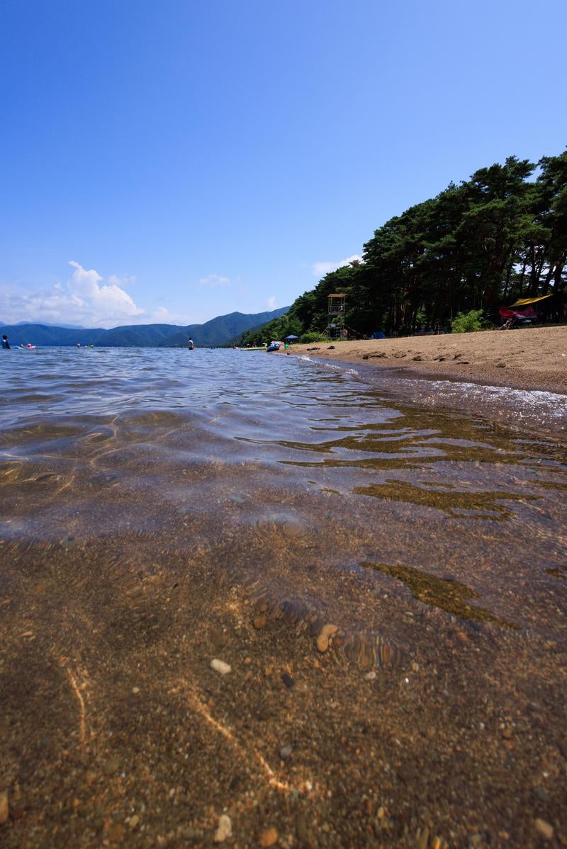 「館浜の水辺」の写真