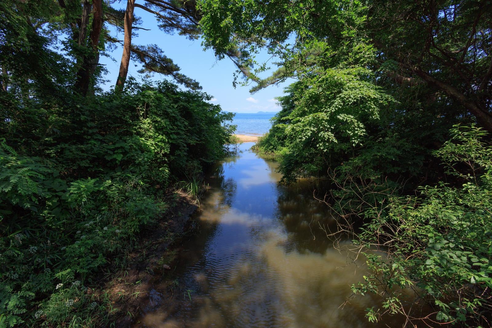 「木々の間を抜けると広がる目の広大な猪苗代湖」の写真