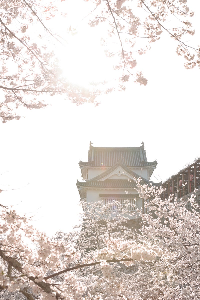 「陽気な天気と津山城跡備中櫓（春）」の写真