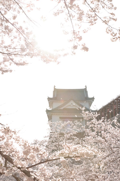 陽気な天気と津山城跡備中櫓（春）の写真