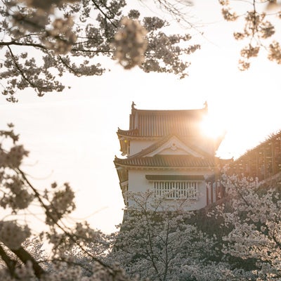 夕日が重なる津山城跡備中櫓の写真