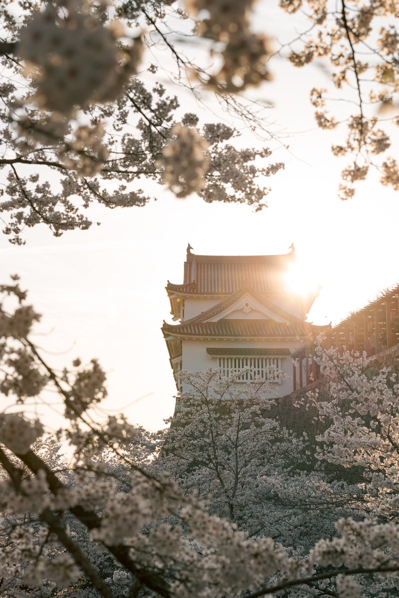 「夕日が重なる津山城跡備中櫓」の写真