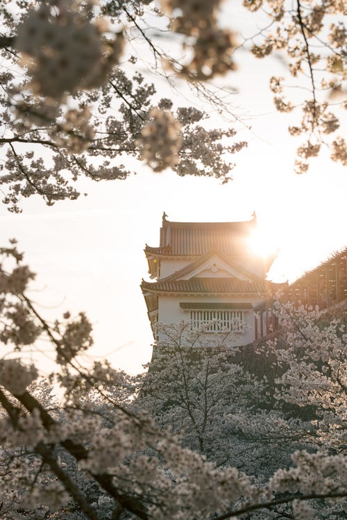 夕日が重なる津山城跡備中櫓の写真