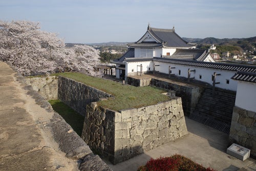 津山城跡備中櫓と城址の写真