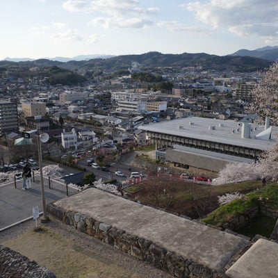 津山城跡から眺める津山文化センターと街並みの写真