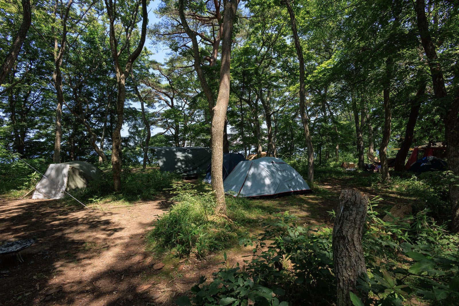 「横沢浜でテントを張るキャンプサイト」の写真