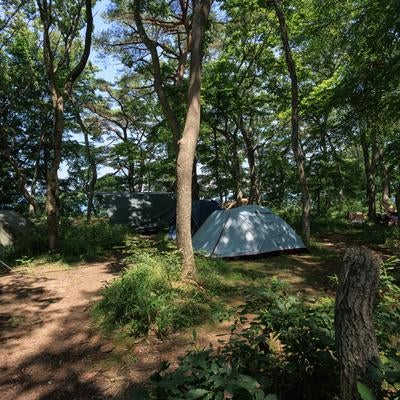 横沢浜でテントを張るキャンプサイトの写真