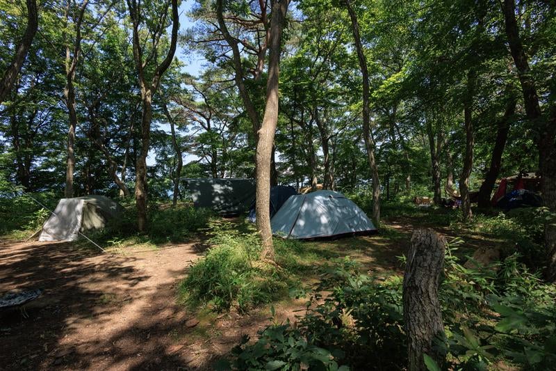 横沢浜でテントを張るキャンプサイトの写真