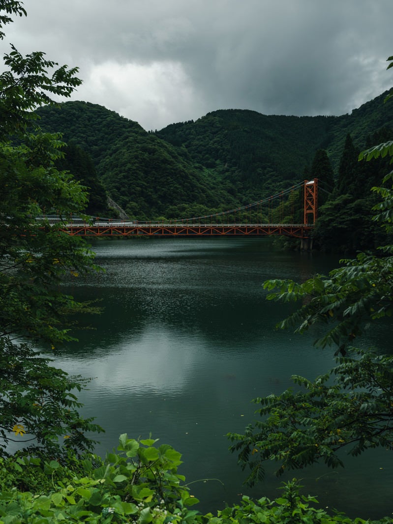「木々の合間から見える橋（富山県南砺市）」の写真