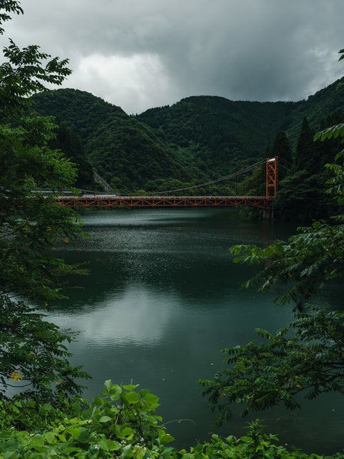 木々の合間から見える橋（富山県南砺市）の写真
