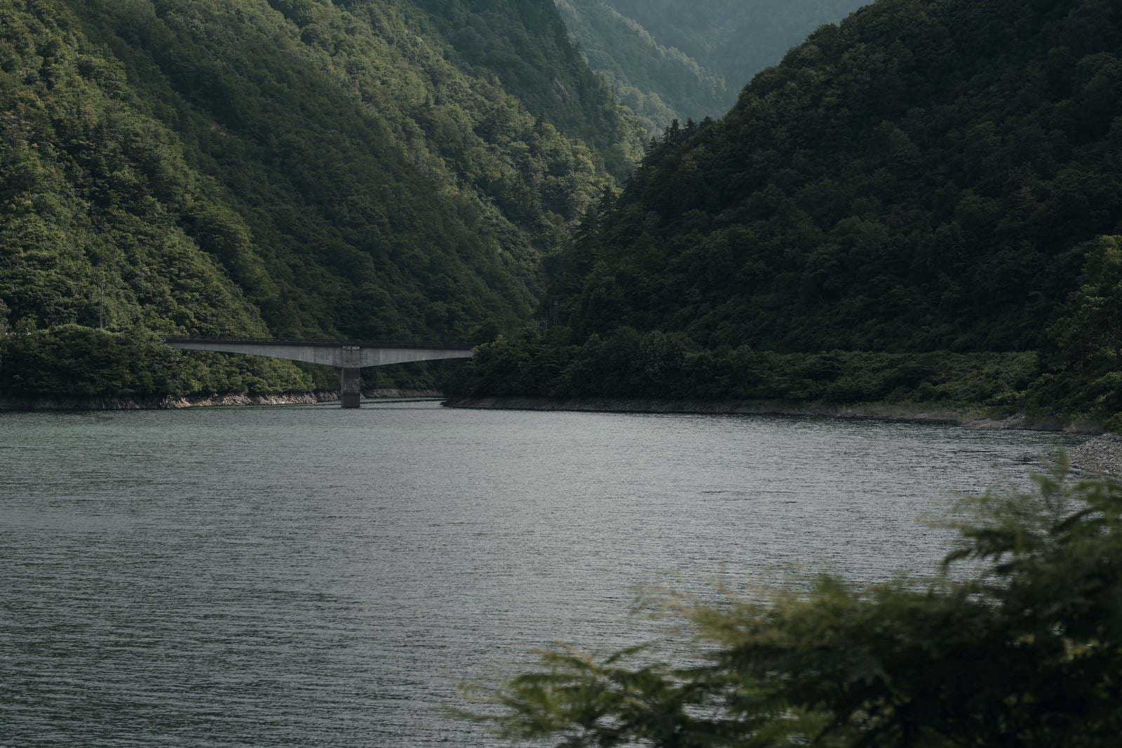 「庄川峡と山間にかかる橋（富山県南砺市）」の写真
