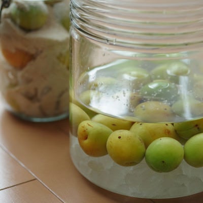果実酒瓶で漬ける梅の写真